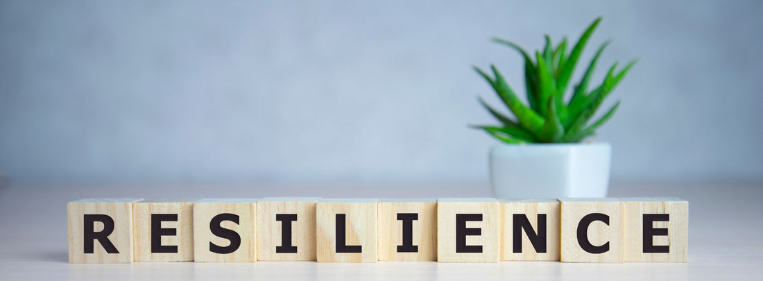 Comment La Résilience Peut Transformer Votre Vie